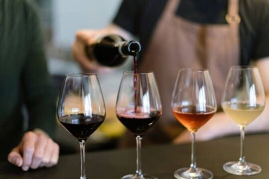 Full Day Arrábida and Comporta Wine Tour From Lisbon