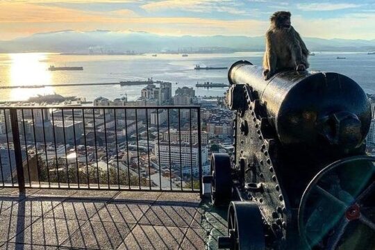 Gibraltar Sightseeing : Extended Rock Tour / Shore Excursion (Private)