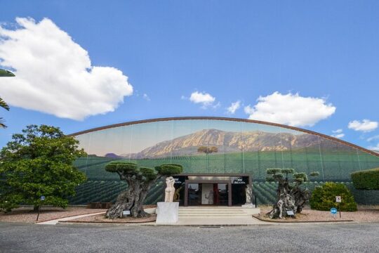 Full-Day Private Setubal Wine Tour Experience from Lisbon