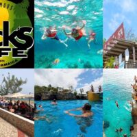 Cruises, Sailing & Water Tours