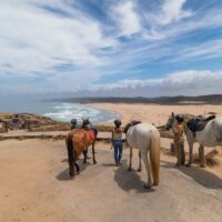 Sustainable Tours