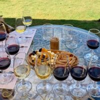 Food, Wine & Nightlife