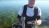 Oyster tour.