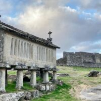 Shore Excursions