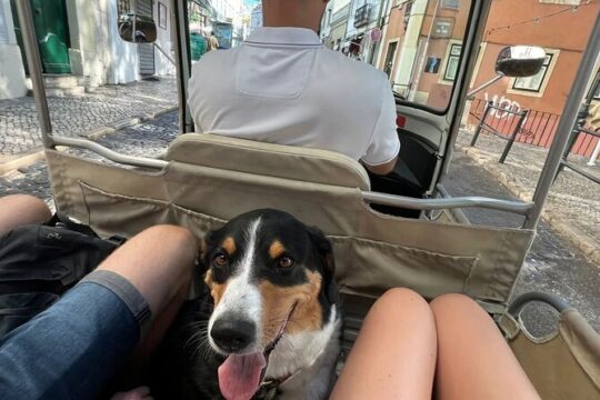 Private Tuk-Tuk All Lisbon Tour 3h