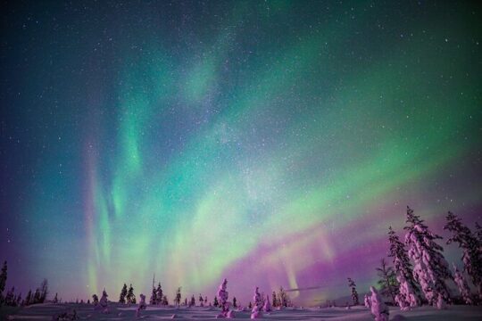 Northern Lights Snowmobile Sledge Ride in Rovaniemi
