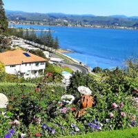 Shore Excursions