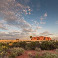 Multi-day & Extended Tours