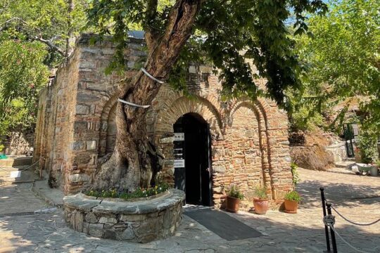 Best of Ephesus Tour From Kusadasi Port | Guaranteed on-time Return to Ship