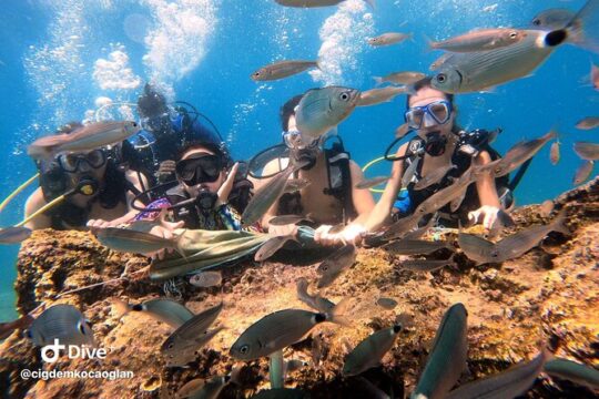Antalya Scuba Diving with Bout Tours