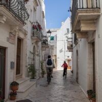 Walking & Biking Tours