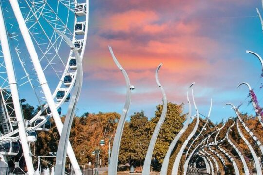 Self Guided Adventure Hunt: Brisbane’s Perfect Recipe