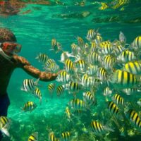 Snorkeling