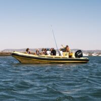 Sustainable Tours