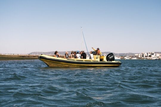 From Faro: Ria Formosa Eco Tour guided by Marine Biologist