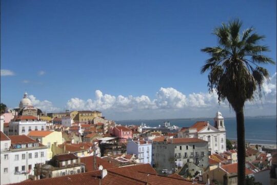Lisbon walking tailored private tour (half day)