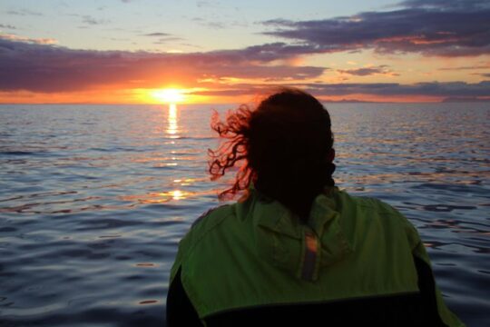 Midnight Sun Whale Watching from Reykjavik