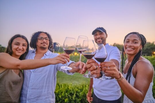 Small-Group Winery Tour with Tasting and Dinner in Chianti vineyards