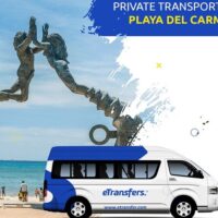 Airport & Ground Transfers