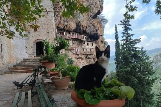 Mountain Villages of Peloponnese, Monasteries and Lousios River Private Day Trip
