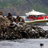 Cruises, Sailing & Water Tours