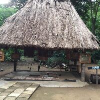 Tours & Sightseeing