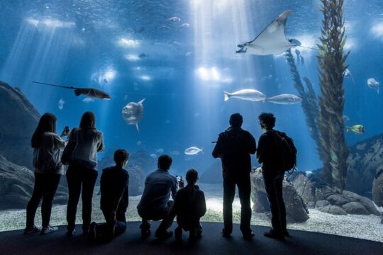 Lisbon Oceanario: Aquarium Entrance Ticket