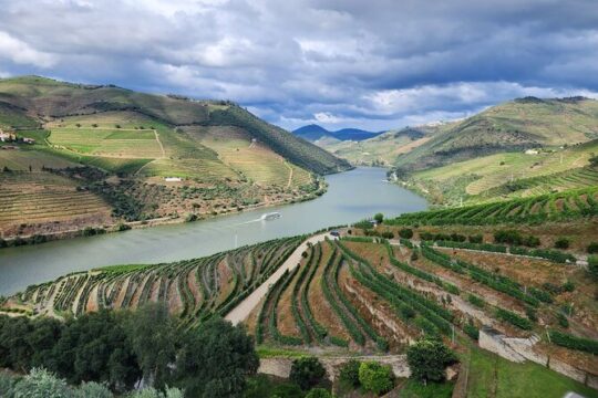 Douro Valley Private Tour (winery + boat + viewpoint)