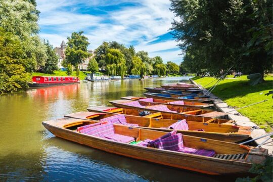 Cambridge Scavenger Hunt and Highlights Self-Guided Tour