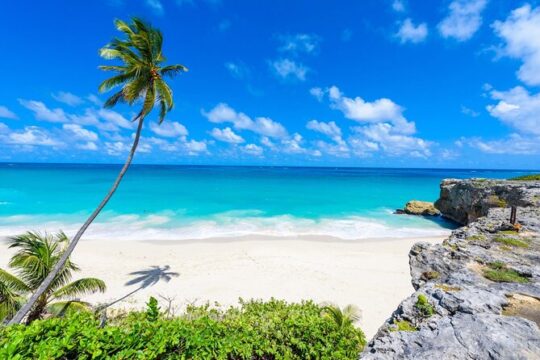 Beautiful Coastal Sightseeing Tour of Barbados