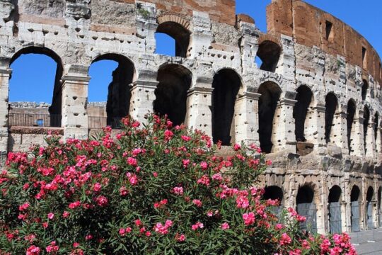 Colosseum Express Tour