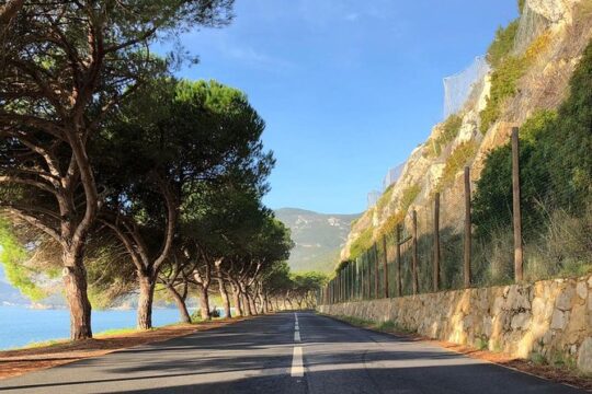 Private tour Sesimbra | Arrábida | Setúbal | Azeitão