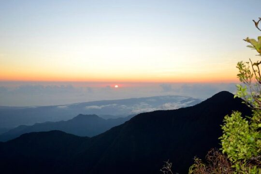 Blue Mountain Peak Hiking Tour from Kingston