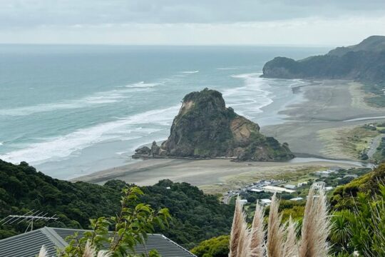 Auckland best Spots + Piha beach and rainforest day Tour