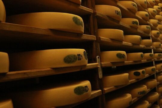 Cheese, Chocolate and Wine in the Bern Region from Luzern