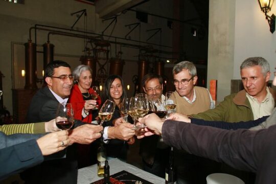Setubal Winery Private Tour including Lunch at Sesimbra Beach