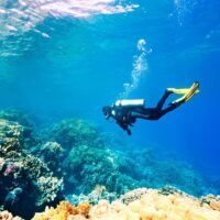 Scuba Diving