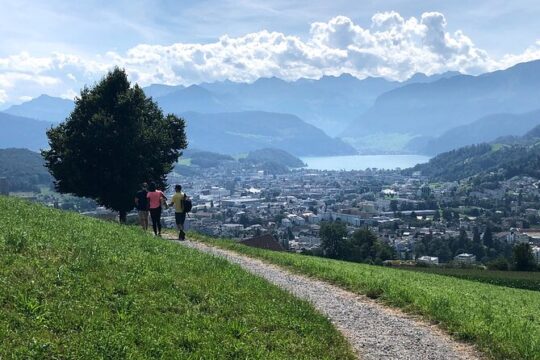 Lucerne Farms Tour and Cheese Tasting - Private Tour