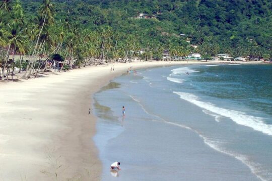 Maracas Beach Trip