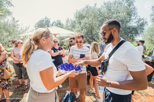 The Great Montenegro Tour - with english speaking driver