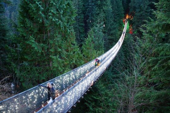 Vancouver City and Capilano Suspension Bridge Canyon Lights Tour