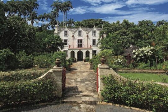 Small-Group Story of Rum Tour in its Birthplace of Barbados