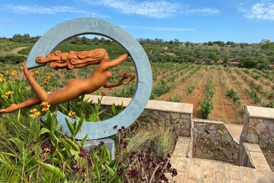 Wine Not Algarve Winery Tour
