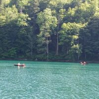 Full-day Tours