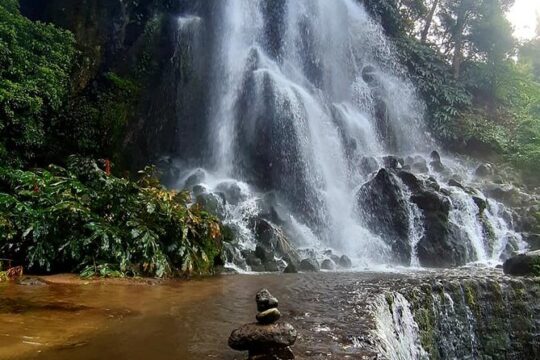 Full day tour to Furnas volcano and Véu da Noiva waterfall