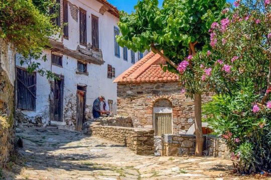 Daily Trip to Ephesus Ancient City, Sirince Village, Temple of Artemis