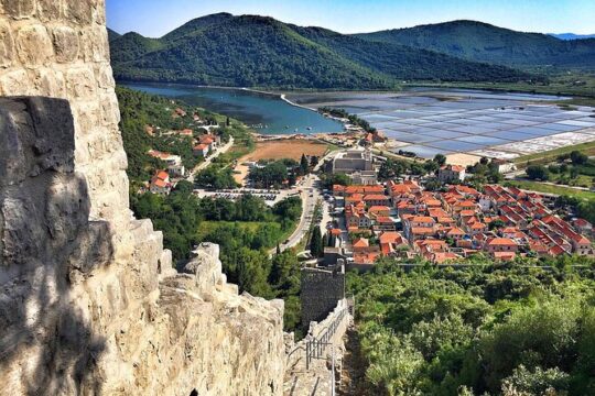 Peljesac Wine & Ston Oysters PRIVATE HALF DAY SHORE TOUR