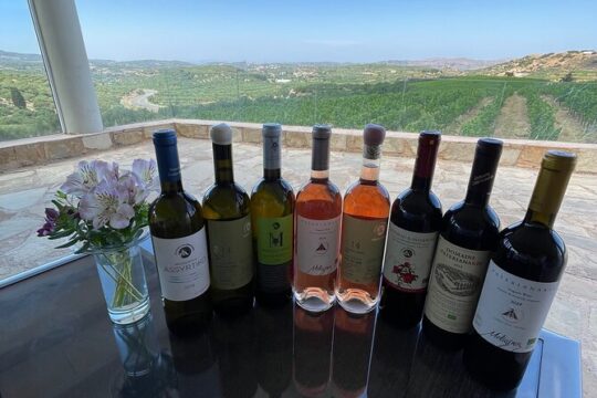 Wine Tasting-Olive Oil Factory-Traditional Villages- Small Group
