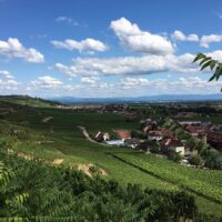 Private & Custom Tours