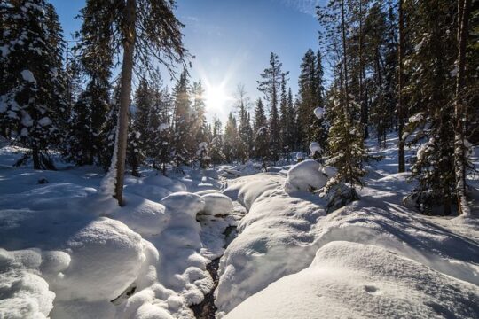 Frozen Waterfalls in Korouoma Canyon adventure